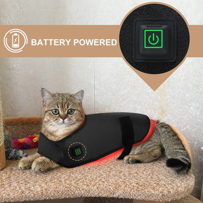 Pet Red Light Infrared Physiotherapy Home Wireless Portable Timing
